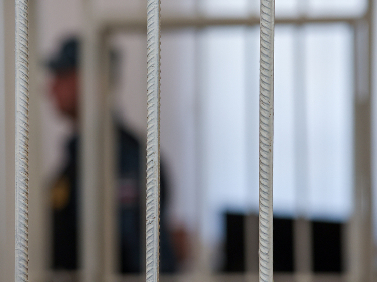 Россиянину дали 6,5 лет колонии за посты с призывами к террору