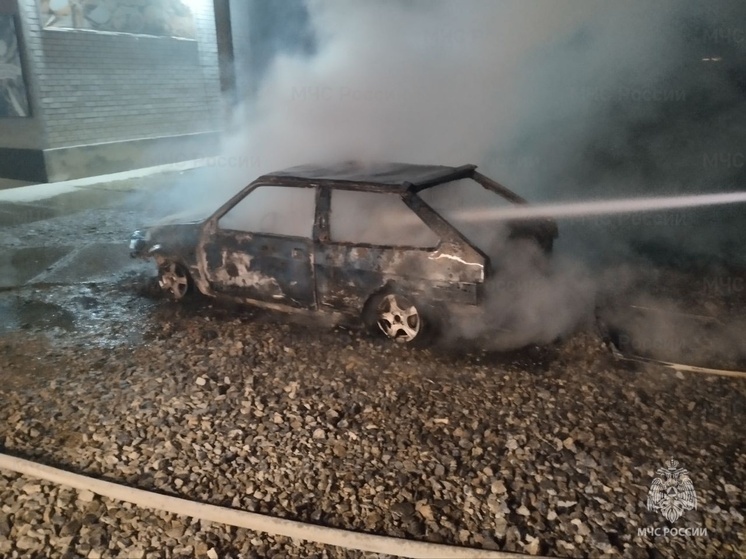 В херсонском селе Новокиевка сгорела легковушка