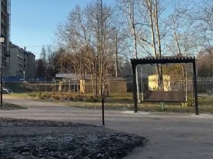 У памятника сказительнице Федосовой в Петрозаводске появились новые качели