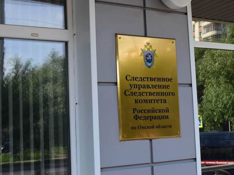 Жительница Омской области забила подругу поленом