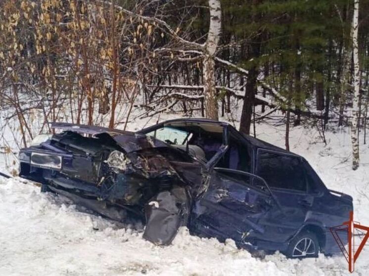 Алтайские росгвардейцы помогли пострадавшему в серьезном ДТП водителю