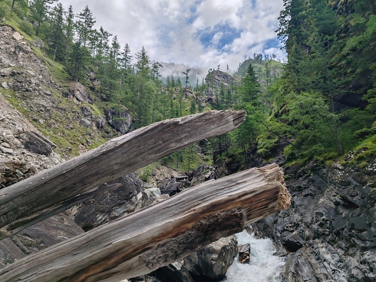 Загадка гибели туристов на Хамар-Дабане: что рассказала единственная выжившая