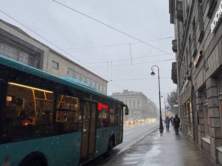 В Петербург 13 ноября влетит атмосферный фронт и принесет с собой дожди и ветер