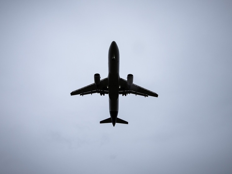 Ученый Холодков: совпадение магнитной бури и протонной вспышки грозит летчикам облучением