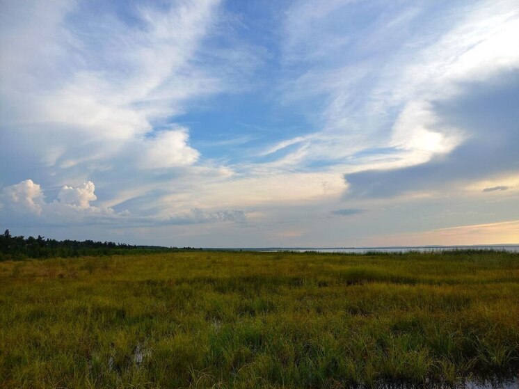 7400 гектаров земли возвращены в сельхозоборот в Забайкалье