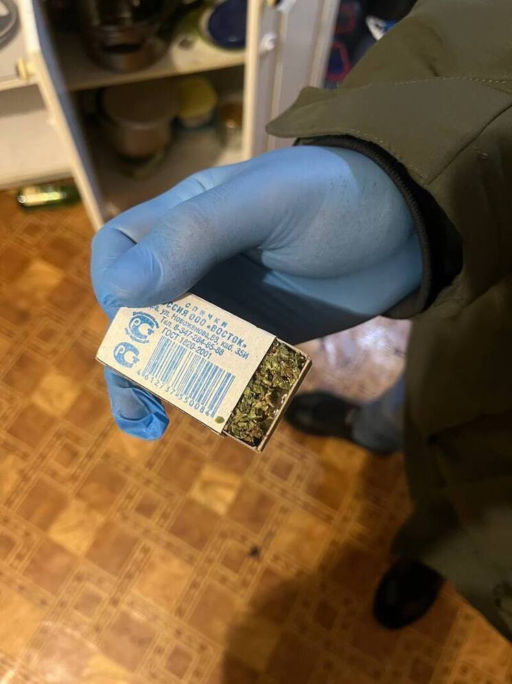 В Иркутске пресечена деятельность подпольной нарколаборатории по выращиванию конопли