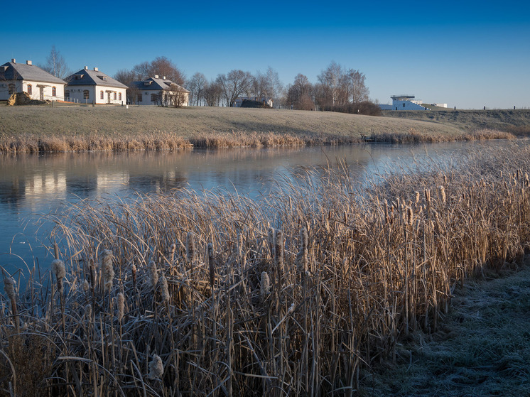 В Тульской области стартует конференция в рамках 650-летия Куликовской битвы