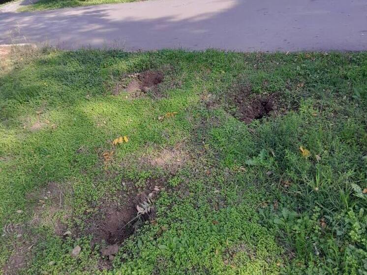 Вандалы выкопали молодые кустарники в Евпатории