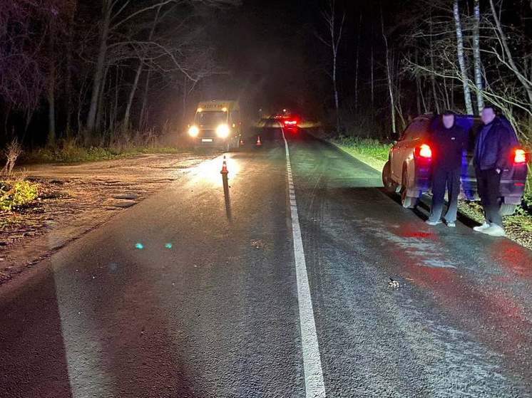 Ребенок попал под машину на трассе под Владимиром
