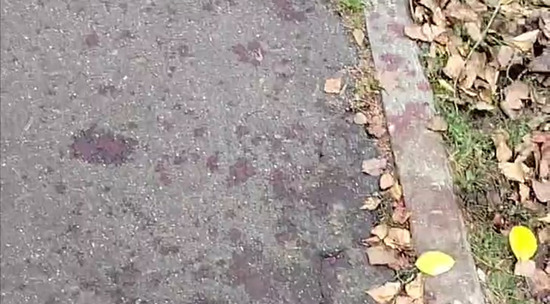 Обстановка на месте взрыва в Красногорске