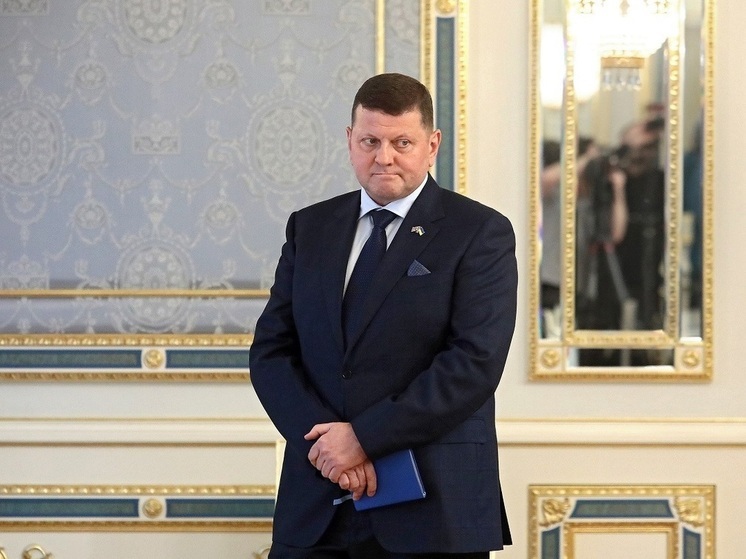 Эксперт Кошкин: на роль лидера Украины при диктатуре готовят экс-главкома ВСУ Залужного