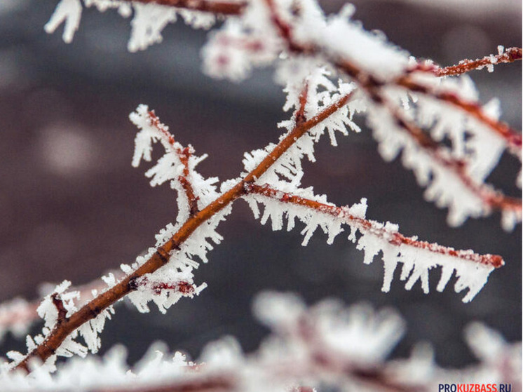 В Кузбассе зафиксированы морозы до -20 градусов
