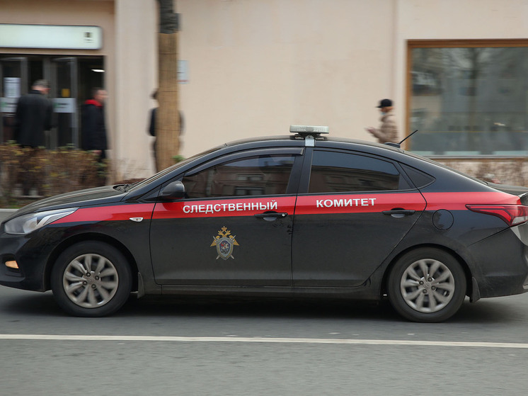 СК возбудил дело по факту аварии с багги