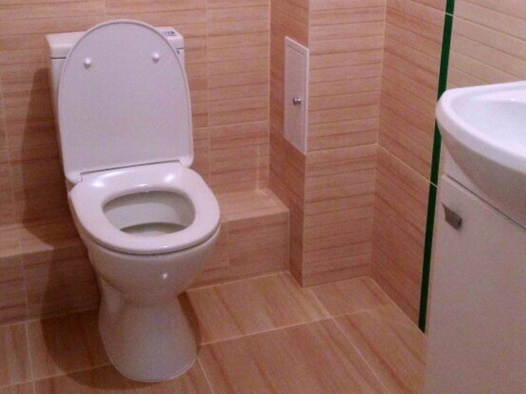 Ученые объяснили, что состояние здоровья можно оценить по частоте испражнений