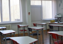 Идея, предложенная детским омбудсменом Москвы Ольгой Ярославской, превратить июнь в «творческий» учебный месяц с уроками музыки, труда, изобразительного искусства и физкультуры, фактически ведёт к сокращению летних каникул