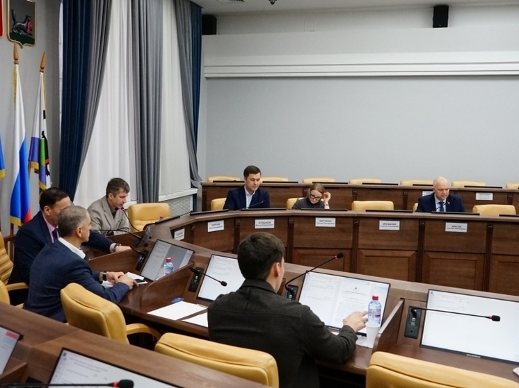 На комиссиях думы Иркутска рассмотрели параметры бюджета