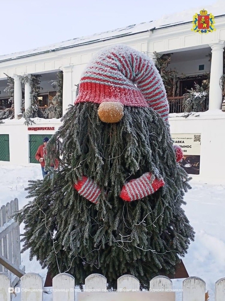 В Суздале вновь появится «Аллея ёлок»