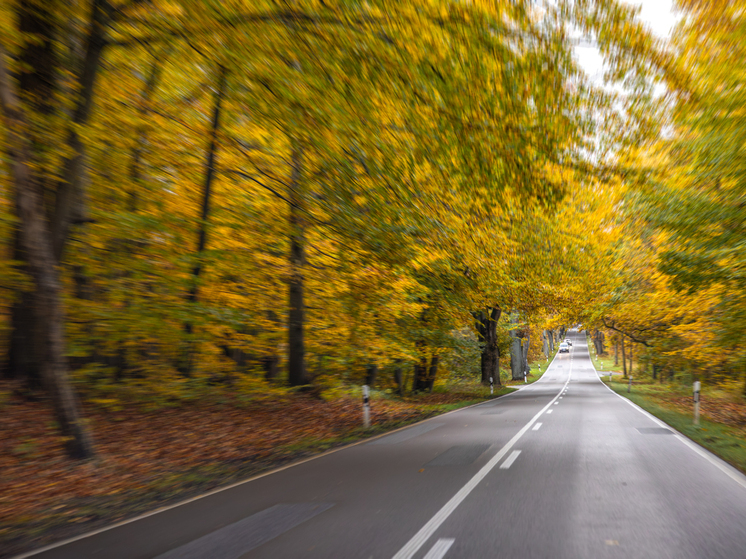Под Брянском в ДТП иномарка вылетела с дороги: пострадал один человек