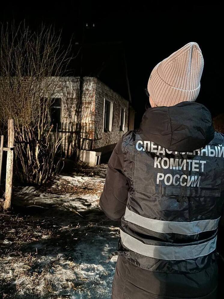 В Омской области женщина погибла после удара поленом: возбуждено уголовное дело