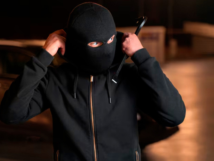 Липчанин попался на краже из садовых домиков и салона красоты