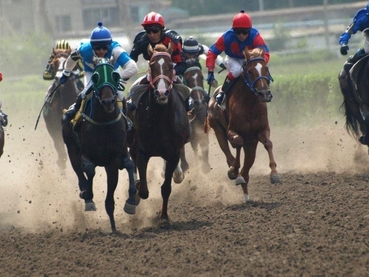 Судебный иск на Ростовский ипподром подало Министерство имущественных и земельных отношений Ростовской области