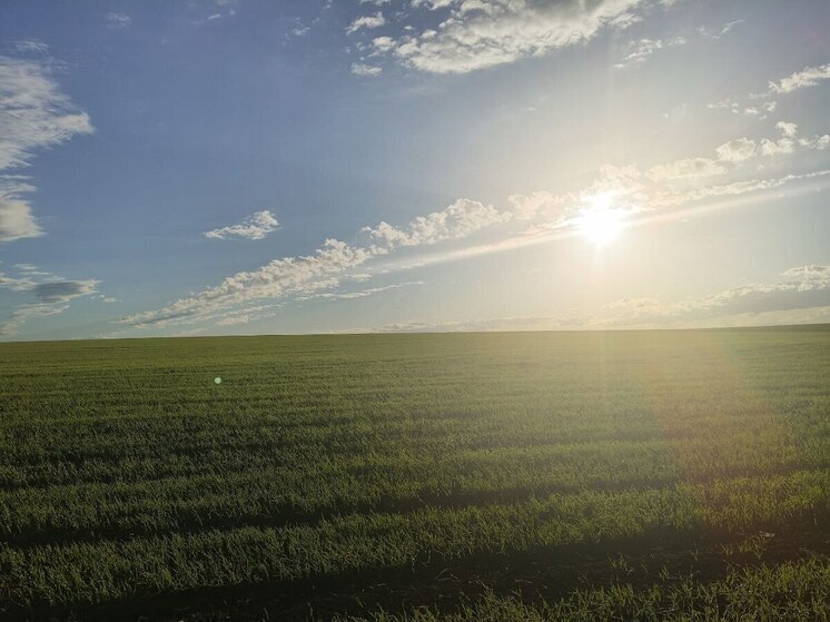 Белгородцев предупредили об очень сильной магнитной буре