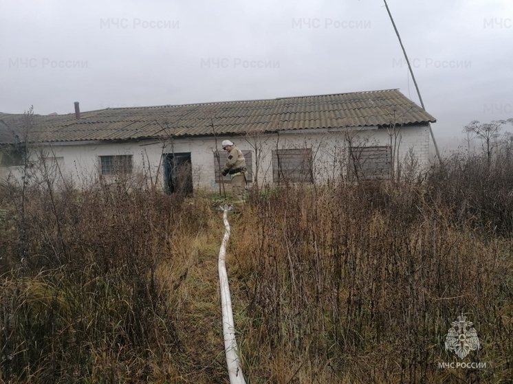 Пустующая постройка вспыхнула в Орловской области