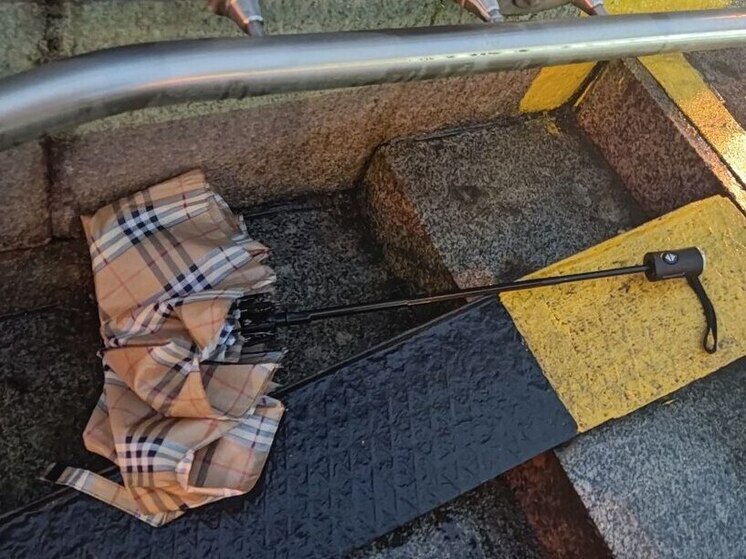 Усиление ветра до 18 м/с спрогнозировали петербуржцам 13 ноября