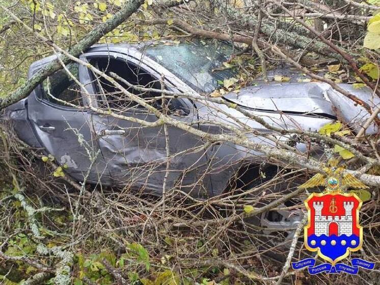 В Правдинске задержан угонщик пикапа пенсионерки