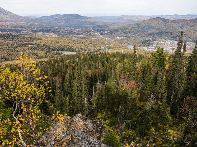 СМИ облетела новость: по делу исчезновения семьи Усольцевых в Кутурчинском Белогорье под Красноярском назначены две генетические экспертизы