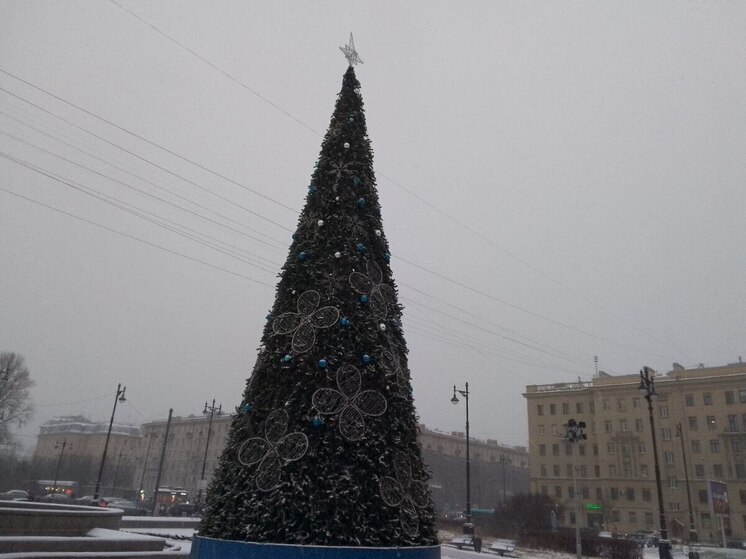 Торжественное зажжение огней на главной елке Североморска состоится 15 ноября