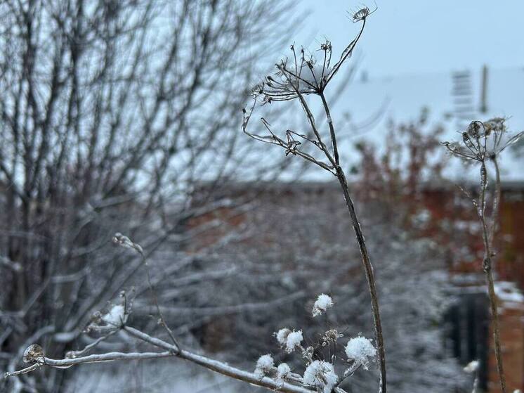 Похолодание накроет Алтайский край в конце рабочей недели