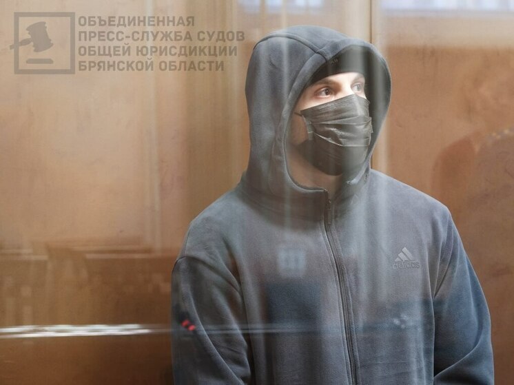 Суд приговорил жителя Брянска к 12 годам колонии за госизмену