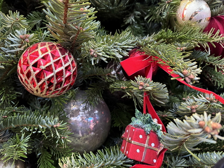 В Кремле установят новогоднюю ель высотой 26 метров