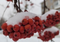 Грядущая зима может войти в историю как одна из самых суровых за последние десятилетия