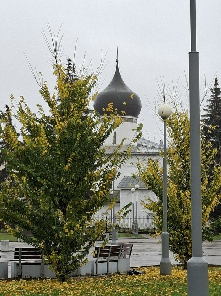 Облачная погода с дождем и умеренным ветром ждет псковичей 13 ноября