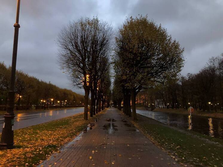 Петербургский муниципальный округ №72 переименуют в «Николаевский»