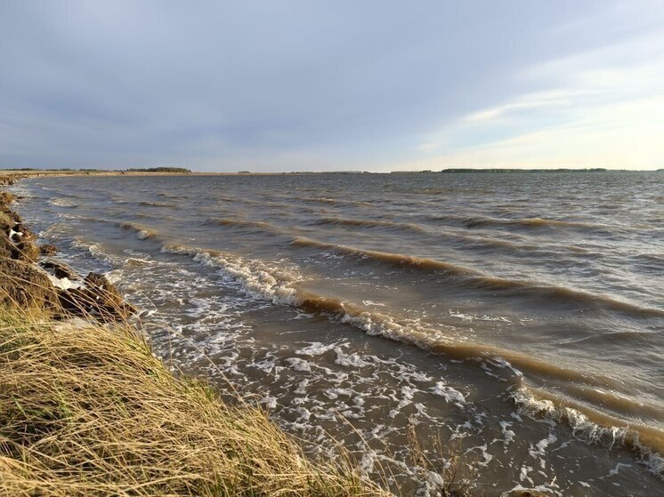 Озеро Петровское вошло в список перспективных туристических локаций Омской области