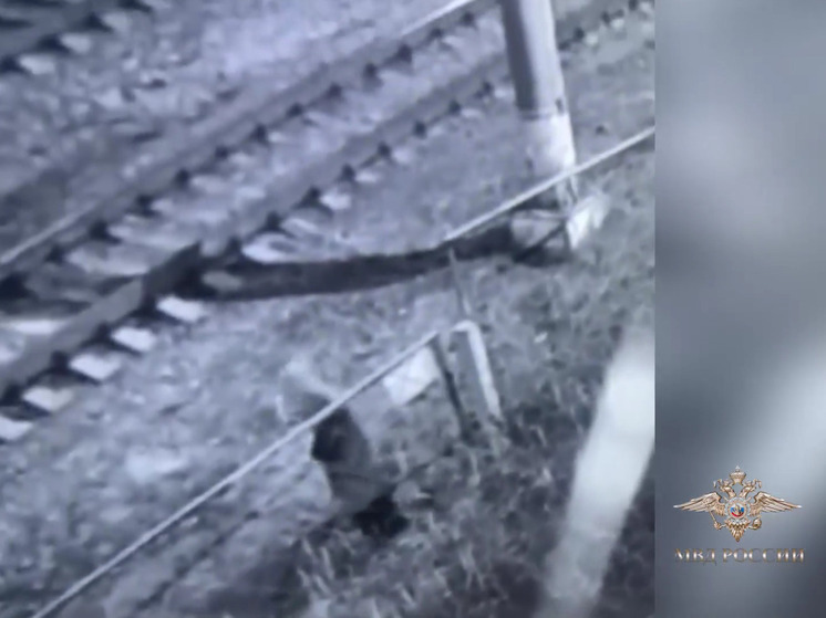 В Петербурге задержали женщину, которая подожгла два шкафа управления стрелочным переводом