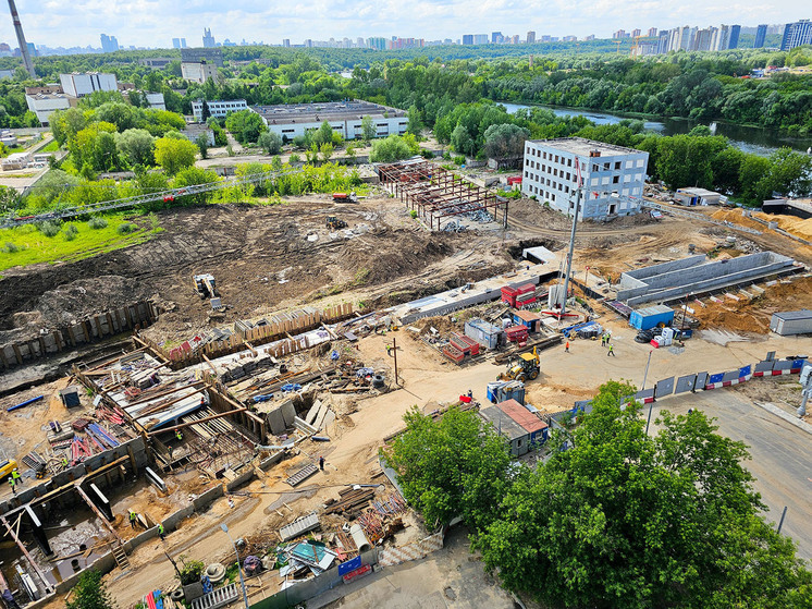 Судьбу Мневниковской поймы определят экологи и строители