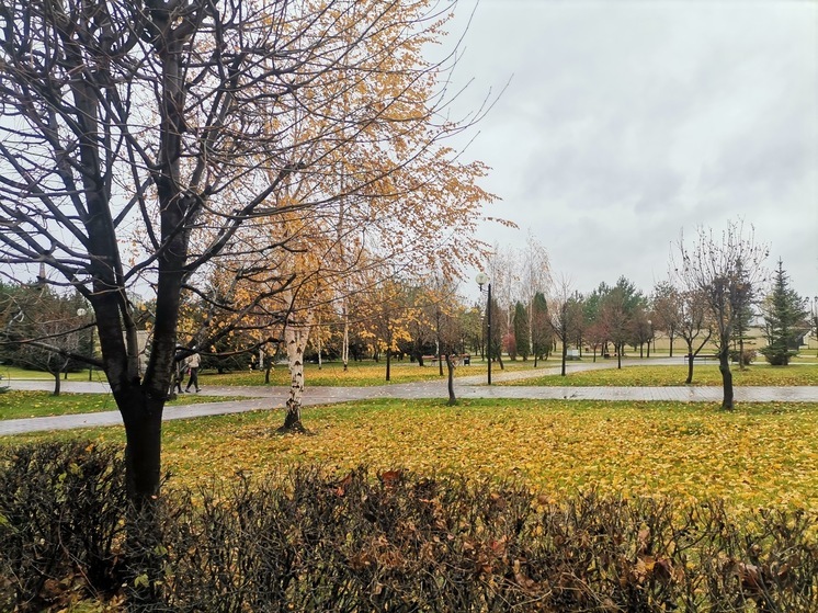 По народному календарю 13 ноября 2025 года отмечается Никодимов день. Православная церковь в эту дату вспоминает преподобных Спиридона и Никодима, просфорников Печерских. 