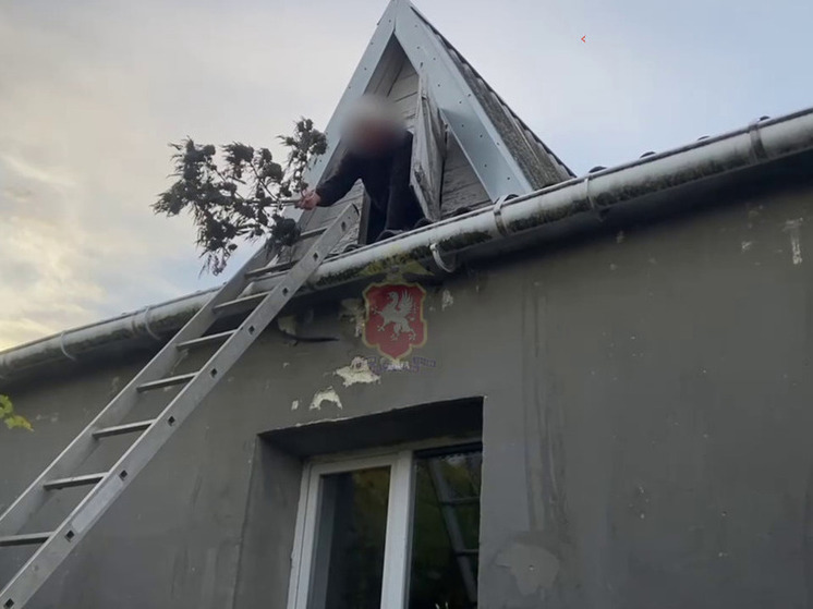 Жителя Севастополя задержали за хранение 1,6 килограмма конопли