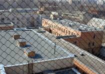 Госпитализировать маленьких детей, родившихся в неволе, следует только с матерью