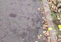 Террористы, оставившие взрывчатку в Красногорске, которая ранила ребенка, имели цель причинить жертве как можно более тяжелые ранения