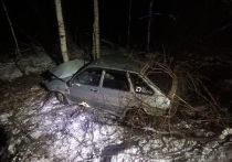 Ночью 11 ноября на автодороге Шадринск – Дрянново – Кривское произошла авария, в которой травмы получили три человека