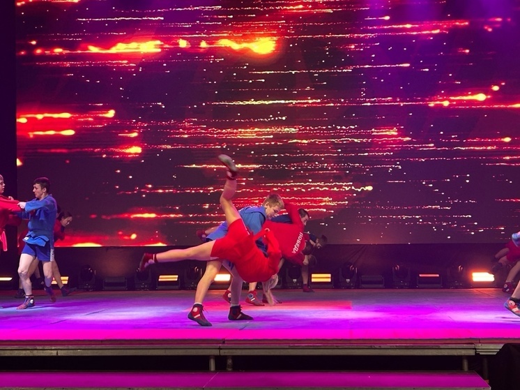 Всероссийский день самбо отметят на Вологодчине