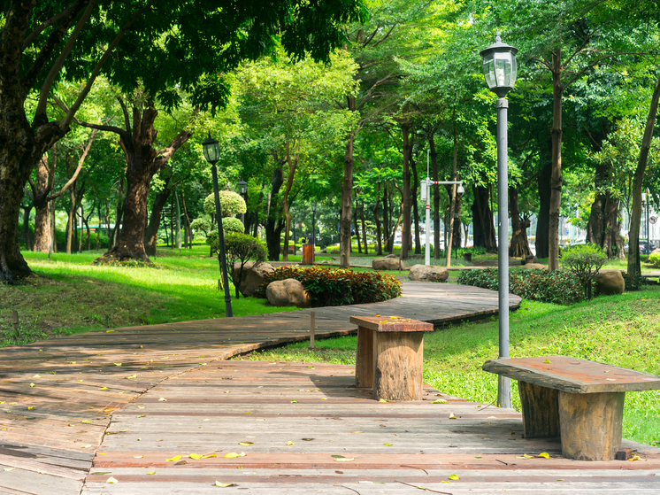 В Воронеже появятся еще 10 зеленых зон