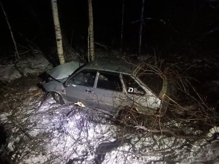 Три человека пострадали в столкновении ВАЗ с деревом в Зауралье