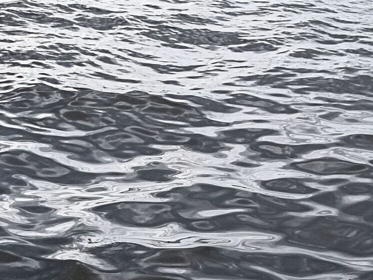 С 15 ноября в Ленобласти закроется навигация для маломерных судов