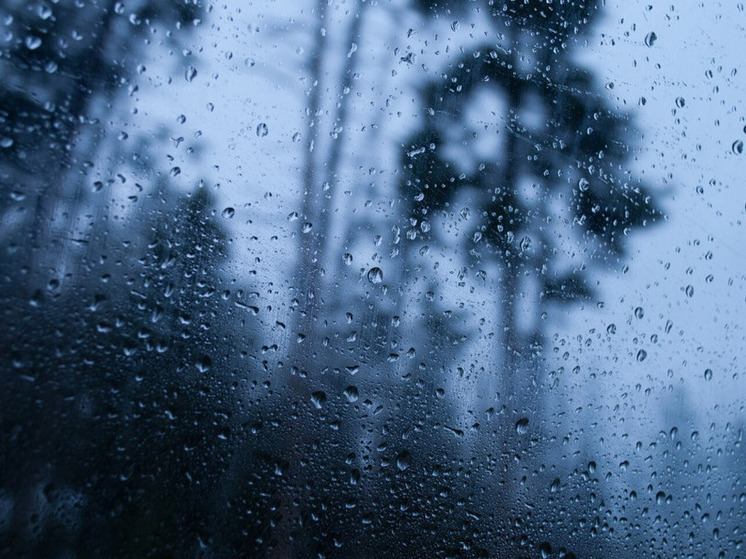 Дожди и 13 градусов тепла прогнозируют в Херсонской области 13 ноября